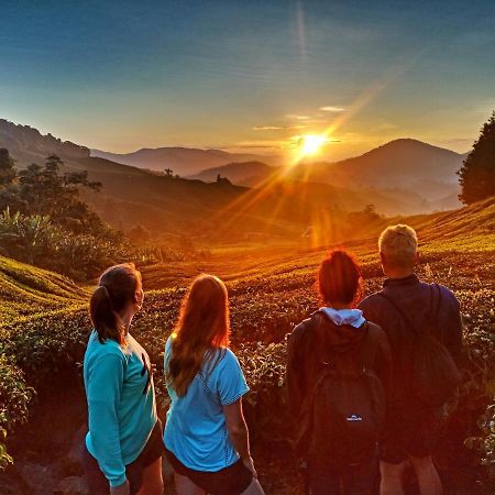 C1 Backpackers Hostel Cameron Highlands Luaran gambar