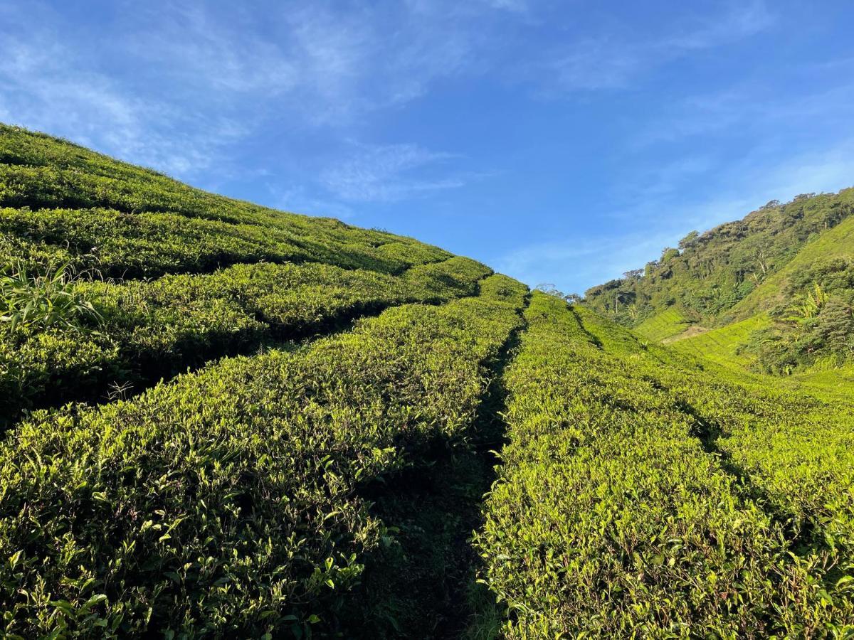 C1 Backpackers Hostel Cameron Highlands Luaran gambar
